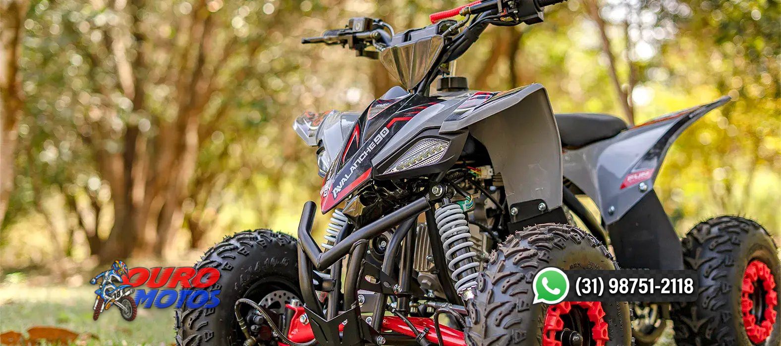 FUN MOTORS AVALANCHE 90 — foto 4